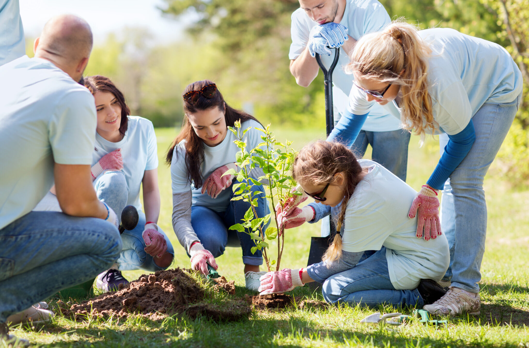 A group of people planting trees in the grass.